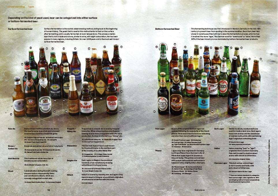 MAGAZINE B 「GUINNESS」 - Arbitro